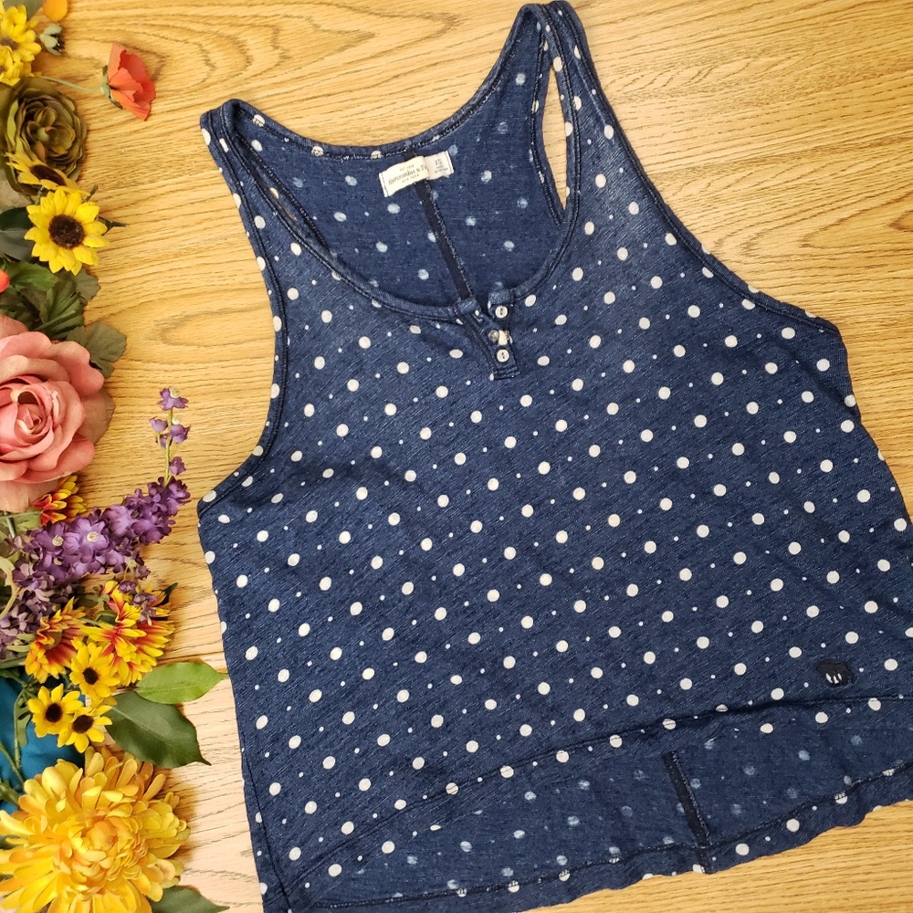 Abercrombie & Fitch Blue White Polka Dot Crop Top